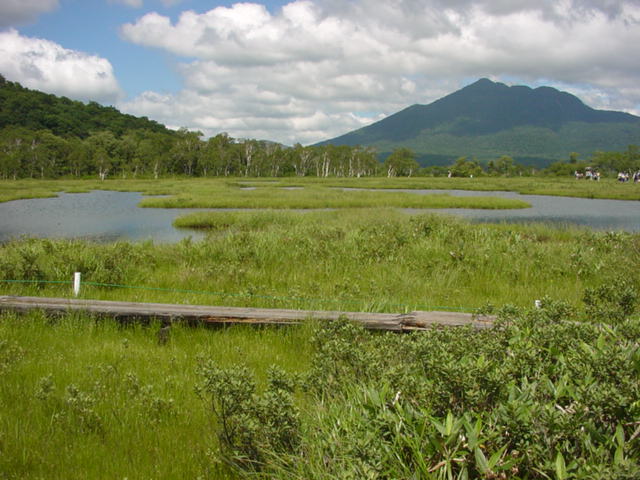 尾瀬ケ原
