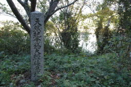 オオウナギ生息地