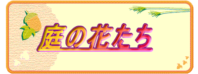 ̉Ԃ