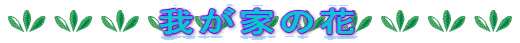 䂪Ƃ̉