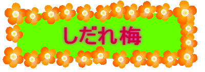 ~