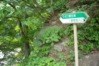 �V�I�W��